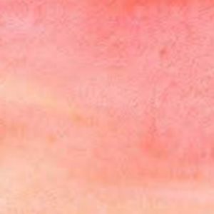 Meet your Posher, Adalai